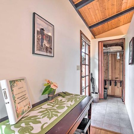 Cozy Volcano Studio With Phenomenal Rainforest Views Mountain View Extérieur photo