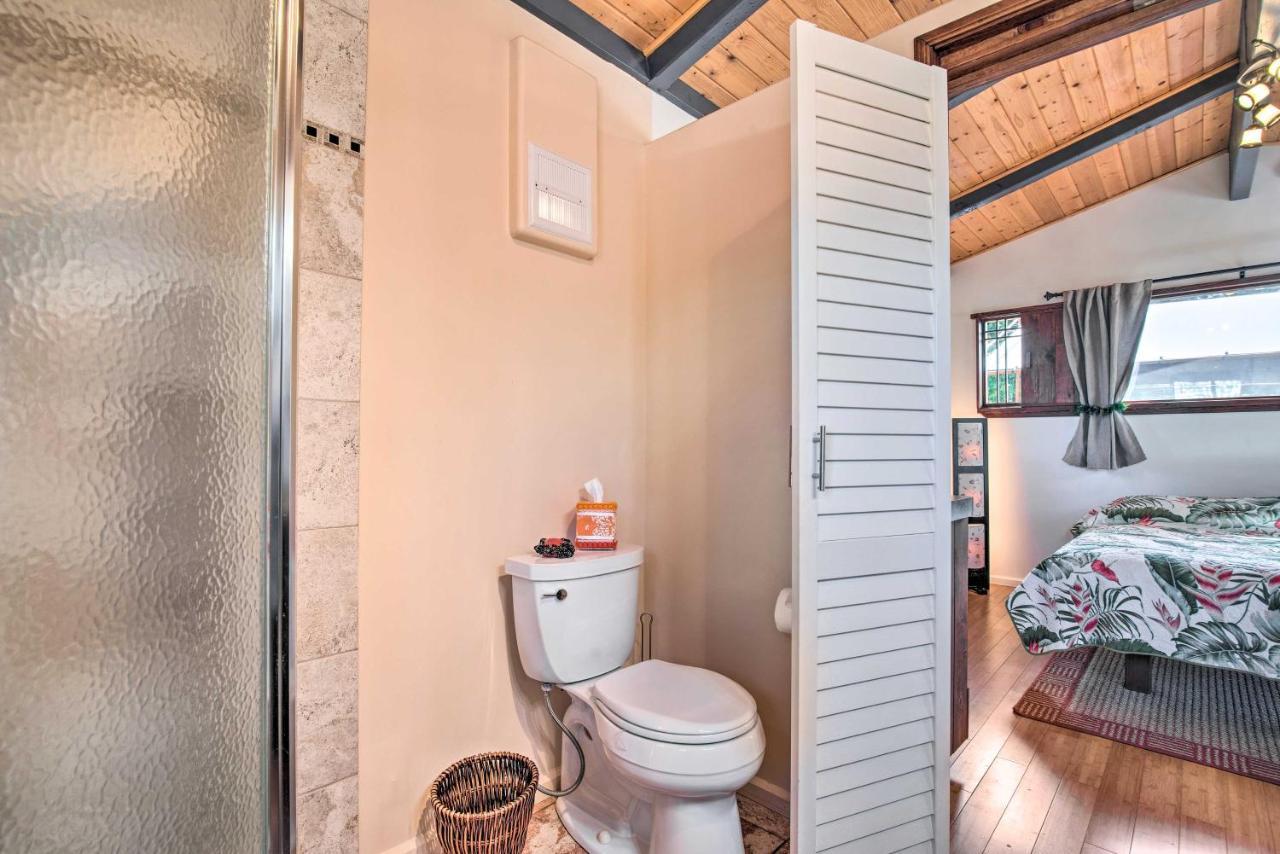 Cozy Volcano Studio With Phenomenal Rainforest Views Mountain View Extérieur photo