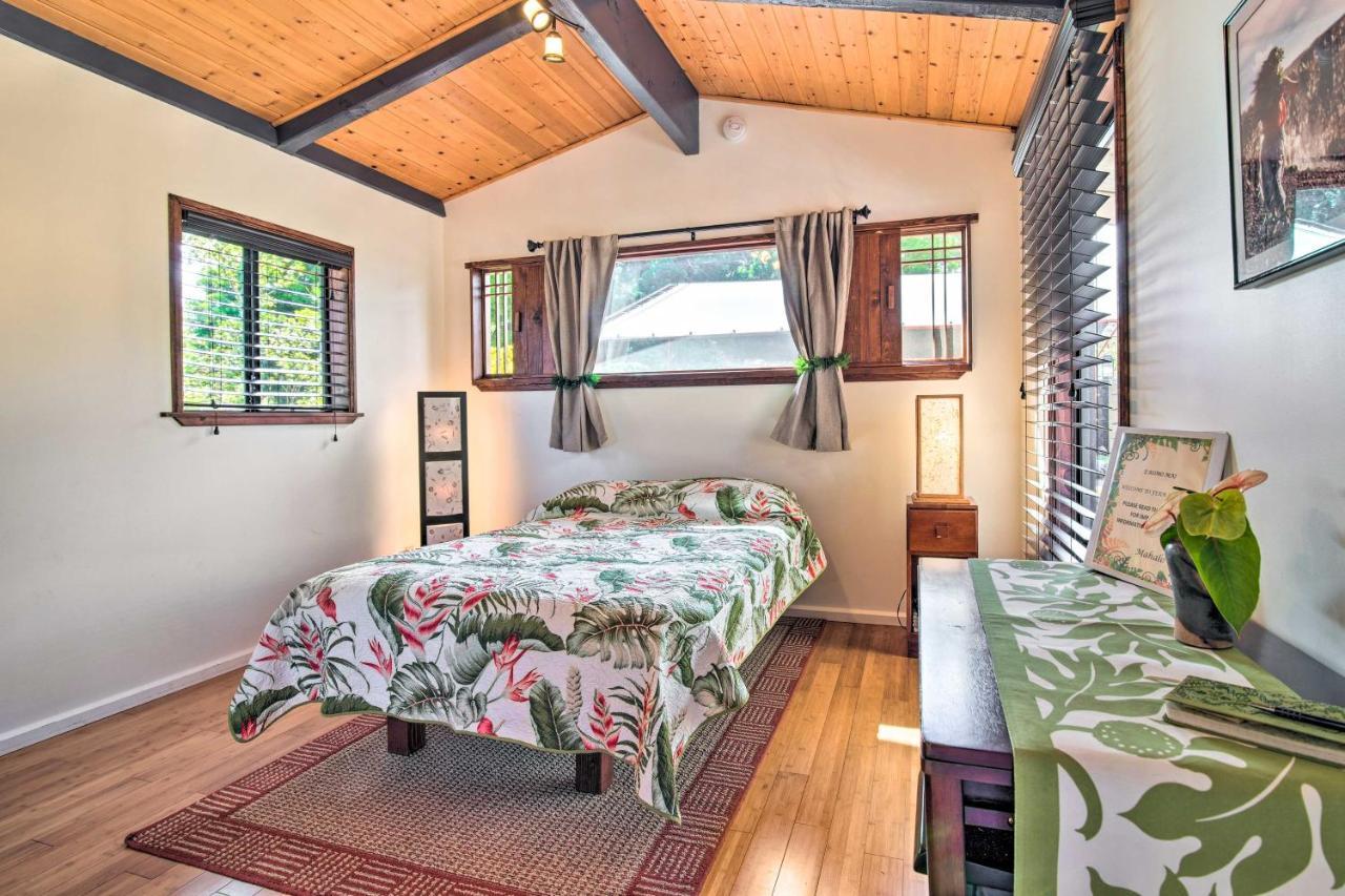 Cozy Volcano Studio With Phenomenal Rainforest Views Mountain View Extérieur photo